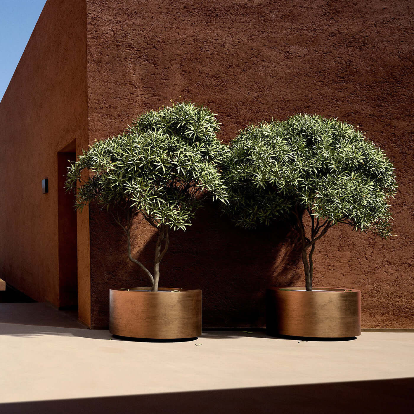 Lviv planters overgenomen door Royal Botania en wordt nu Cuprum Planters
