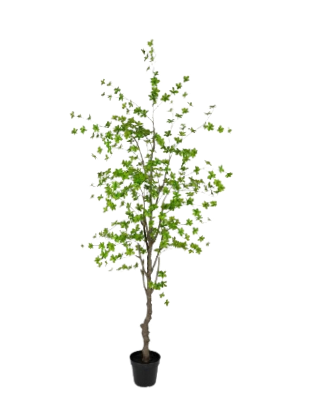 Kunstboom Enkianthus H235cm groen in pot - Deuxamis