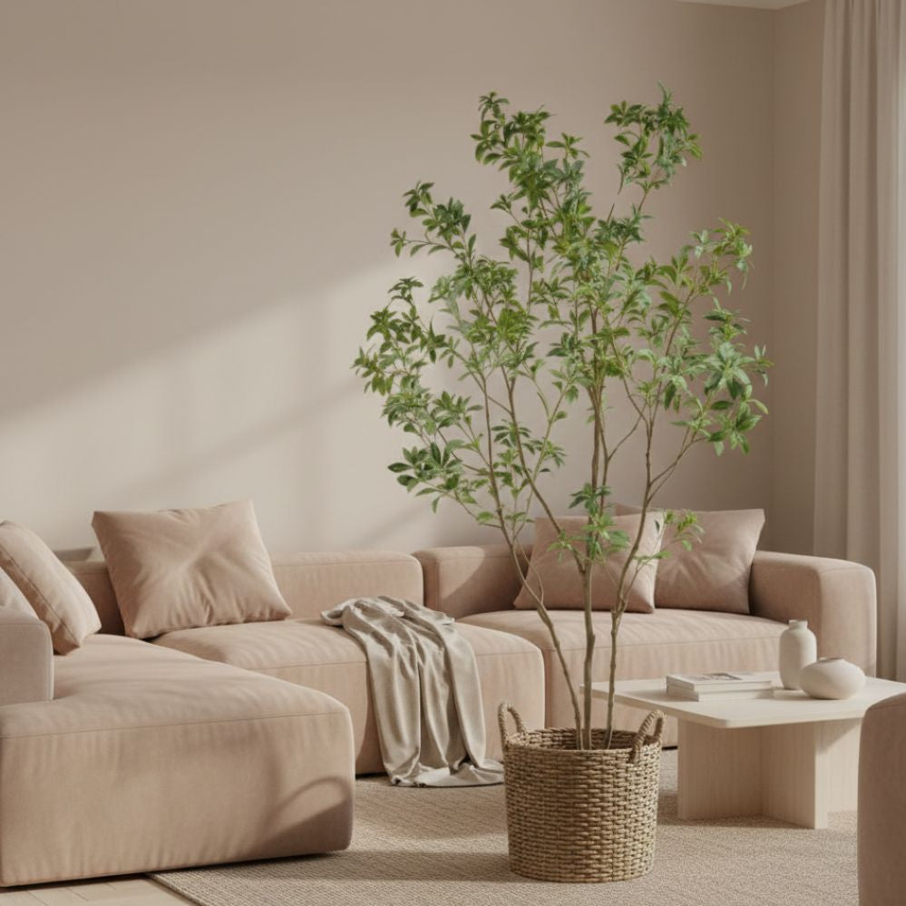 Sierboom met groene bladeren in woonkamer - Deuxamis