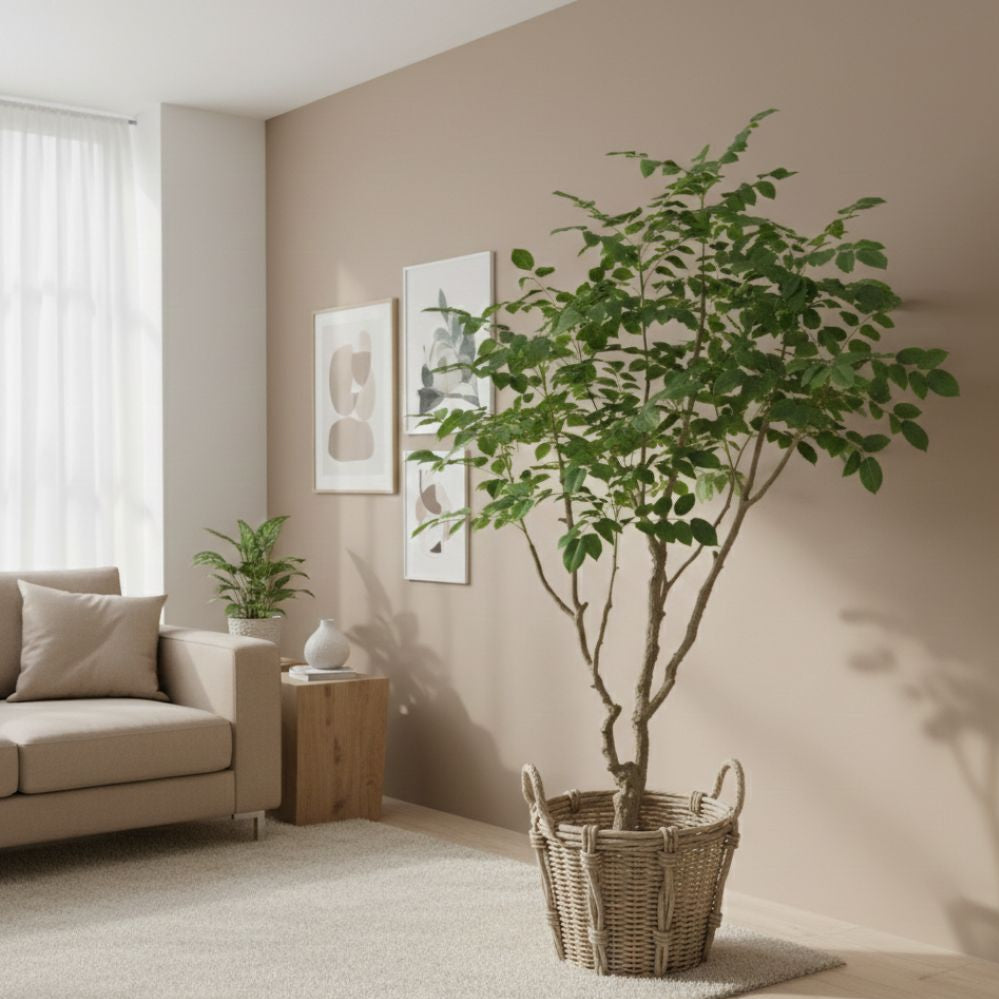 Groene kunstplant in een mand - Deuxamis