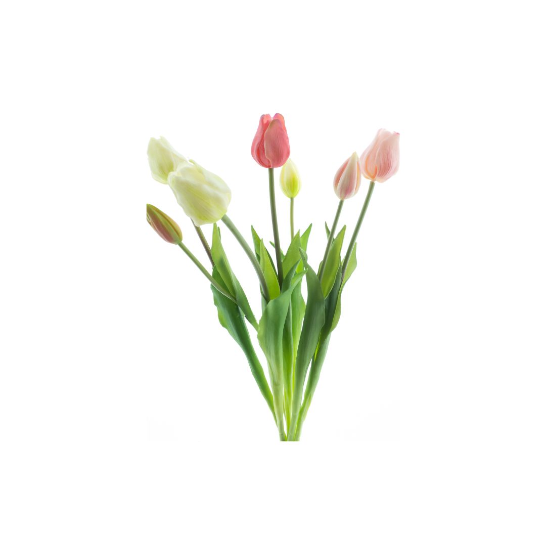 Roze en crèmekleurige zijden tulpen - Deuxamis