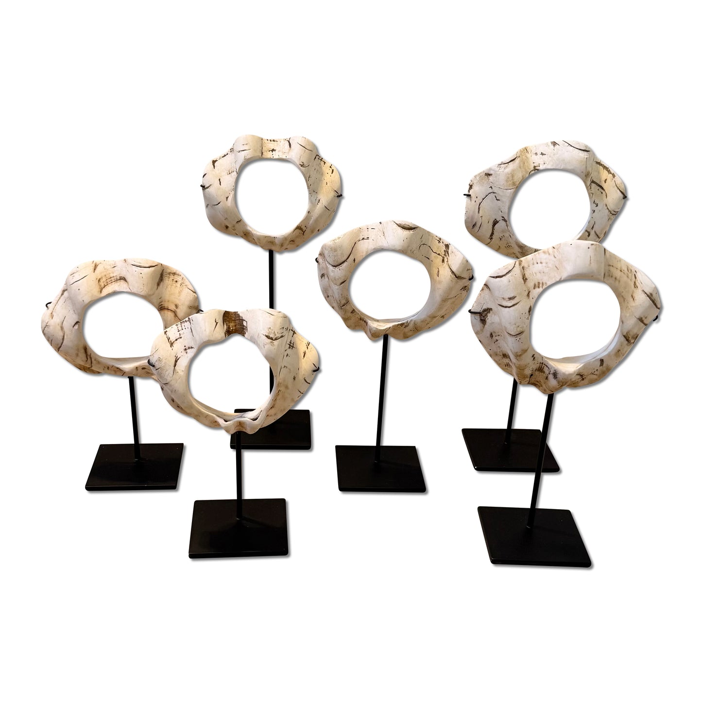 Decoratieve schelpen op voet set van 3 - Deuxamis