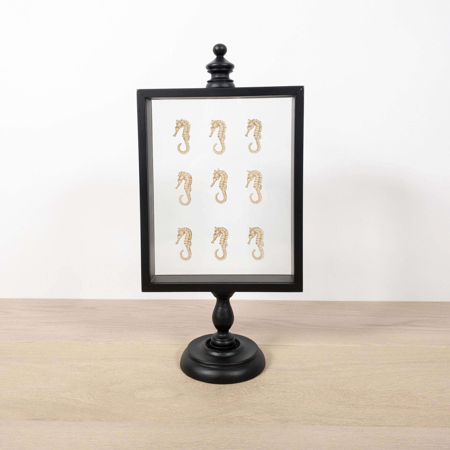 Display met 9 zeepaardjes